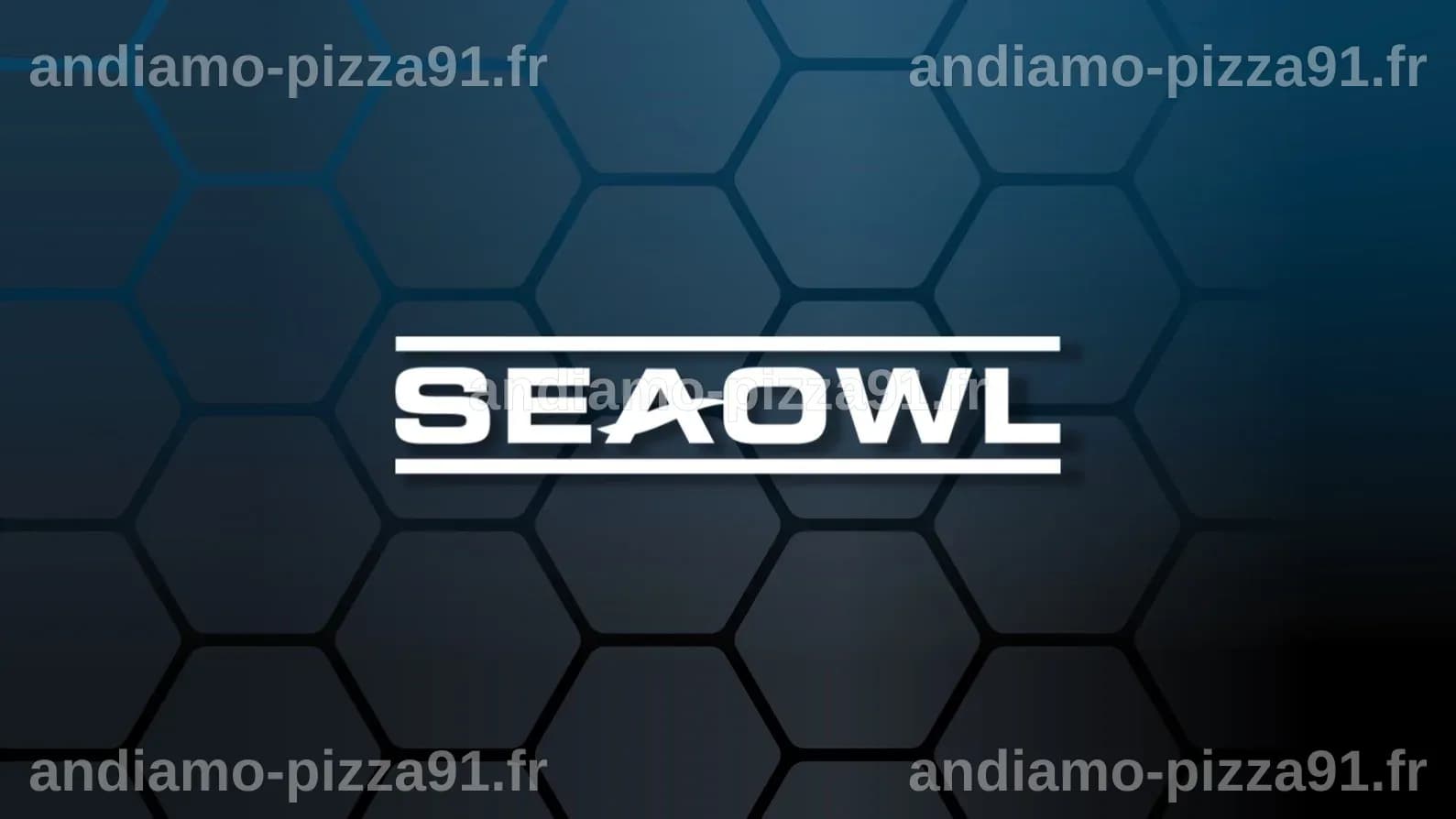 SeaOwl Technology Solutions : un investissement de 10 millions d’euros pour une usine de drones navals près de Toulon
